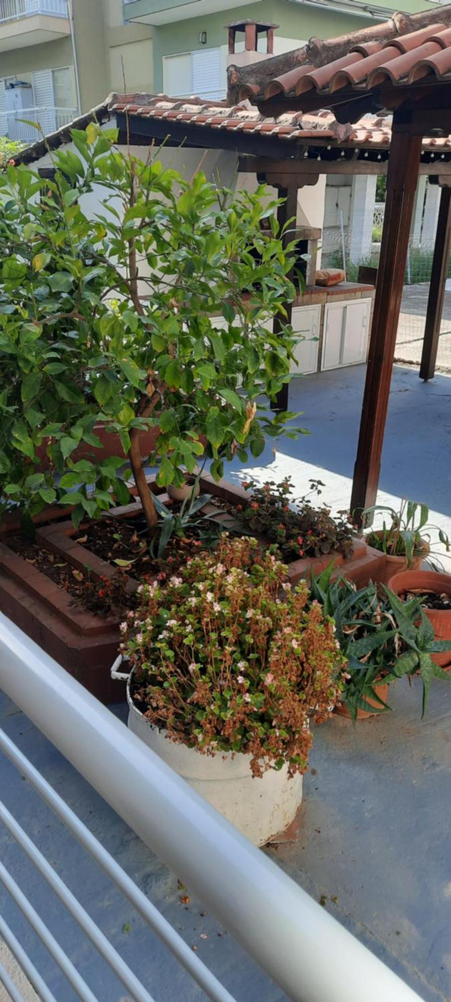 Seaside Family Apartment In Paralia Dionisiou Exterior foto