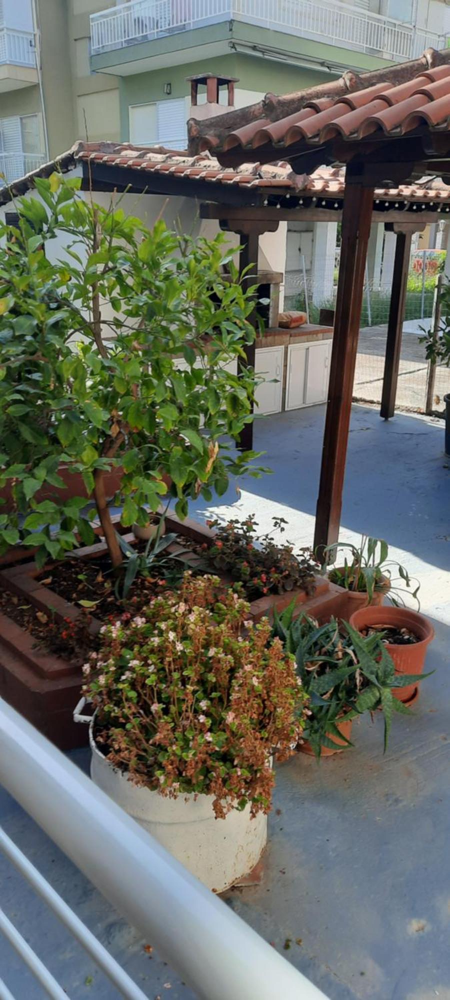 Seaside Family Apartment In Paralia Dionisiou Exterior foto